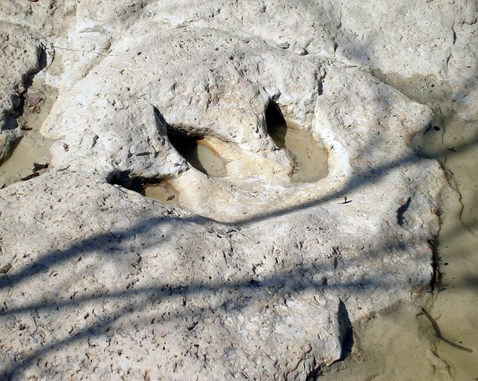 Fossile Abdrücke von Dinosauriern im Flussbett des Paluxy Rivers nahe Glen Rose, Texas, USA