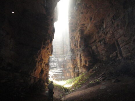 Osocnort1960, CC BY-SA 4.0, via Wikimedia Commons